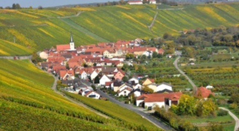 Nuremberg 60th Anniversary