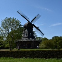 Gallery Item