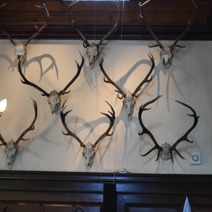 Gallery Item